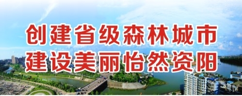 大鸡巴日少妇视频创建省级森林城市 建设美丽怡然资阳